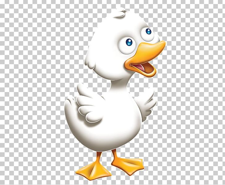 Duck Flightless Bird PNG, Clipart, Beak, Bird, Cartoon, Chicken, Chicken As Food Free PNG Download