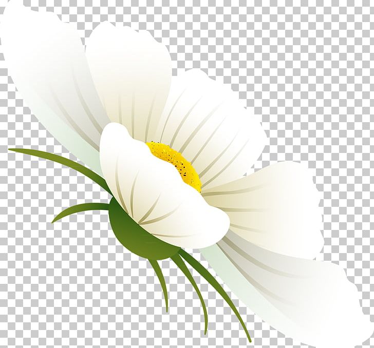 Flower Petal Desktop Plant Stem PNG, Clipart, Closeup, Computer, Computer Wallpaper, Cosmos Flower, Daisy Free PNG Download