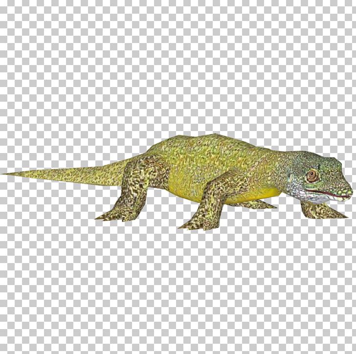 Agamidae Gecko Terrestrial Animal PNG, Clipart, Agamidae, Animal, Animal Figure, Fauna, Gecko Free PNG Download
