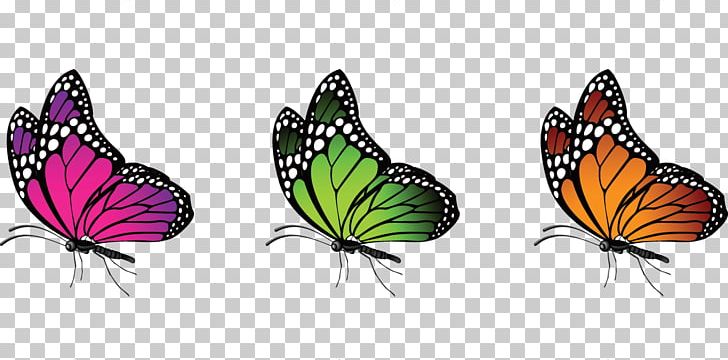 Insect Color Butterfly PNG, Clipart, Animal, Animals, Arthropod, Black And White, Brush Footed Butterfly Free PNG Download