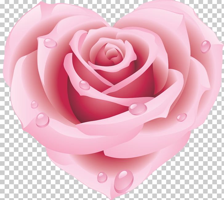 Rose Heart Stock Photography Pink PNG, Clipart,  Free PNG Download