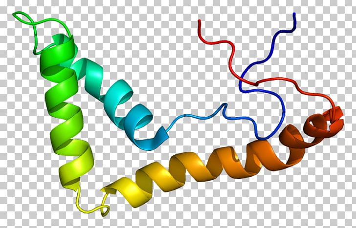 UBTF Protein Transcription Factor Kinase Nucleolus Organizer Region PNG, Clipart, 1 K, 28s Ribosomal Rna, Area, Artwork, Casein Free PNG Download