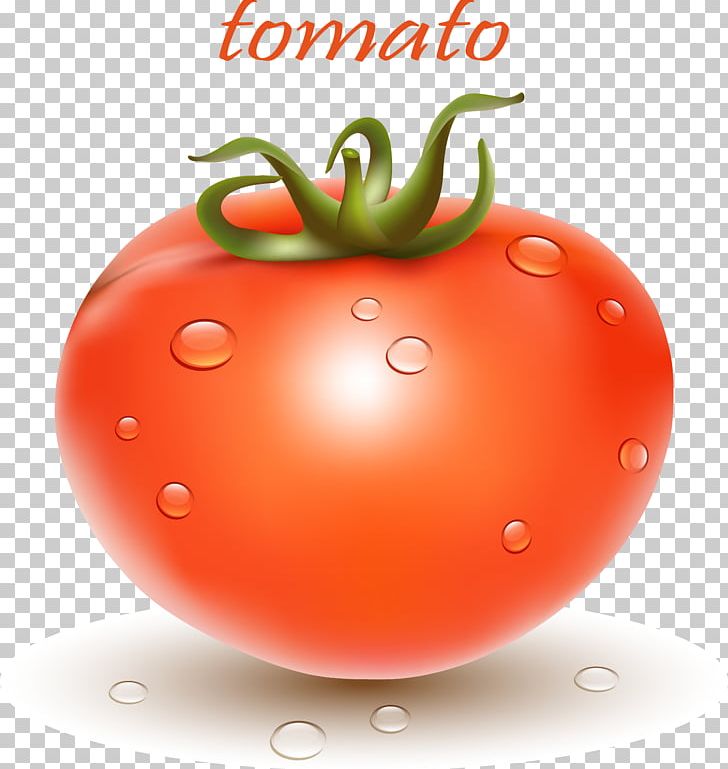 Plum Tomato Bush Tomato Cherry Tomato Vegetable PNG, Clipart, Encapsulated Postscript, Food, Fruit, Happy Birthday Vector Images, Ketchup Free PNG Download