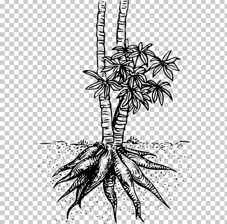 Cassava PNG, Clipart, Art, Black And White, Branch, Computer Icons, Flora Free PNG Download