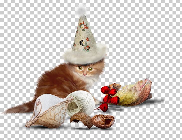 Cat Kitten Dog PNG, Clipart, Animal, Animals, Animation, Cat, Cat In The Hat Free PNG Download
