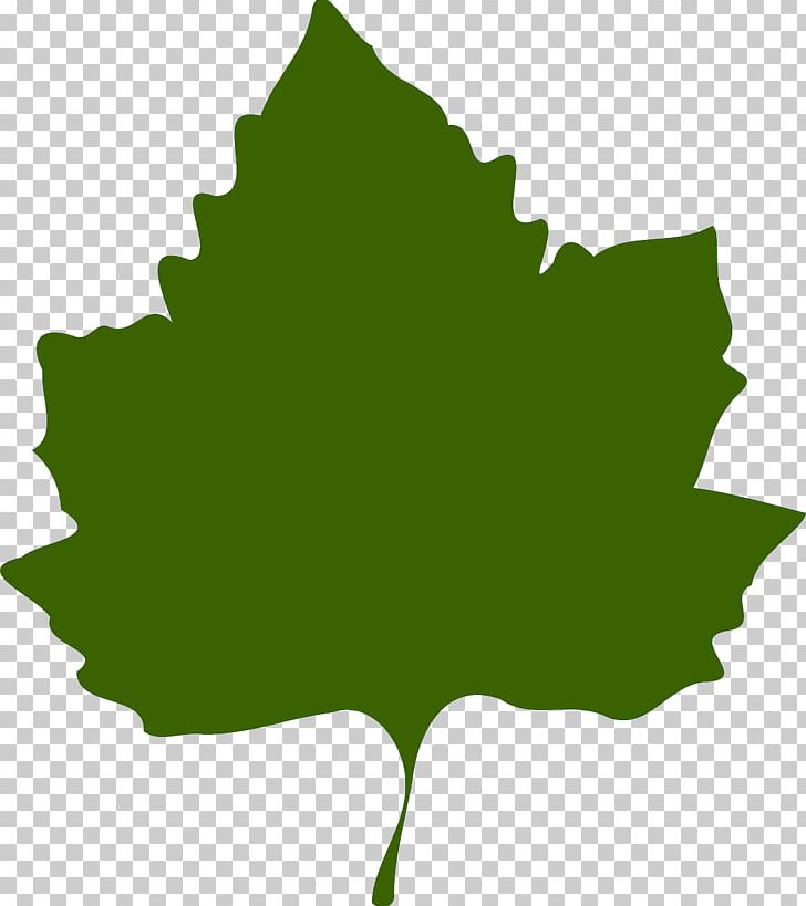 Common Grape Vine Grape Leaves PNG, Clipart, Blog, Common Grape Vine, Drawing, Flora, Fruit Nut Free PNG Download