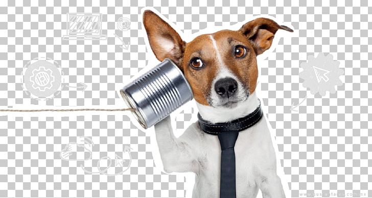 Dog Grooming Pet Telephone Call Cat PNG, Clipart, Animal, Animals, Business, Call Centre, Carnivoran Free PNG Download