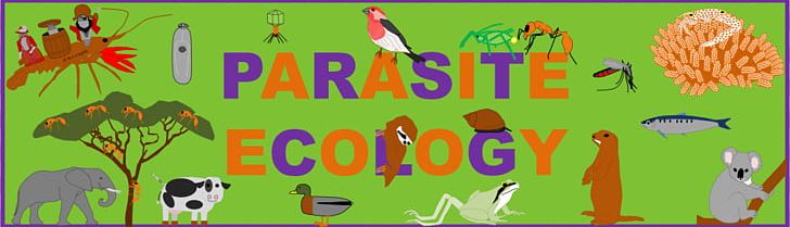 Ecosystem Ecology Interaction Parasitism PNG, Clipart, Advertising, Art, Banner, Biology, Ecology Free PNG Download