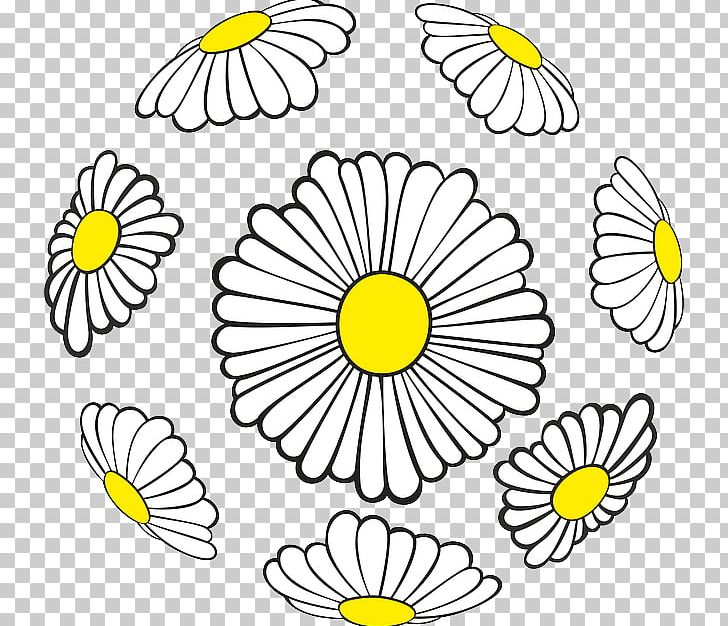 Floral Design Common Daisy Flower Sphere PNG, Clipart, Area, Artwork, Ball, Black And White, Chrysanthemum Free PNG Download
