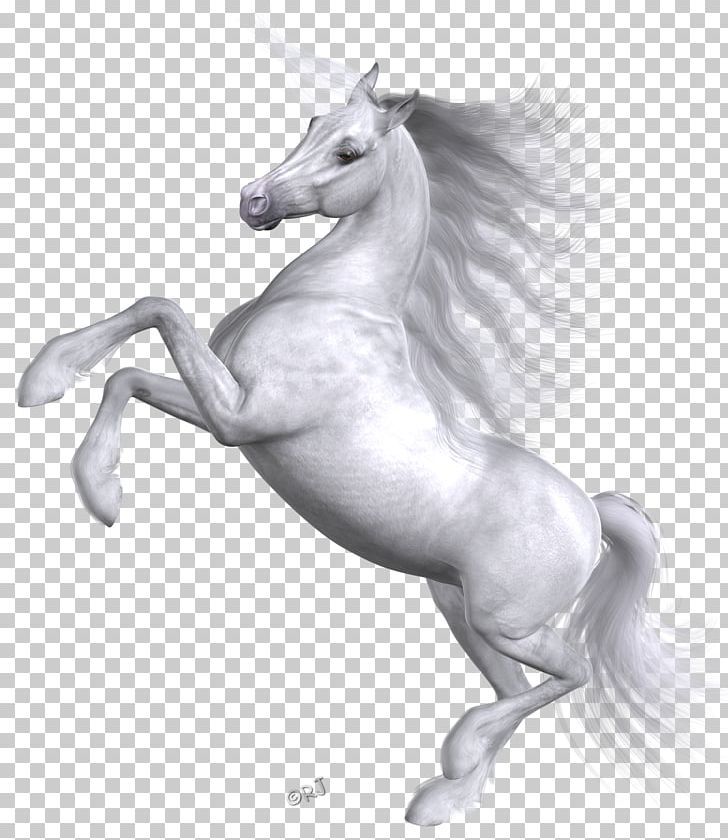 Mustang Stallion Unicorn Halter Mythology PNG, Clipart, Actual, Arabian, Bay, Black And White, Drawing Free PNG Download