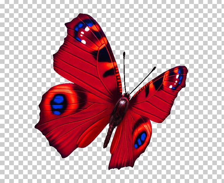 Papillon Dog Butterfly PNG, Clipart, Animation, Arthropod, Brush Footed Butterfly, Butterfly, Butterfly Pictures Free PNG Download