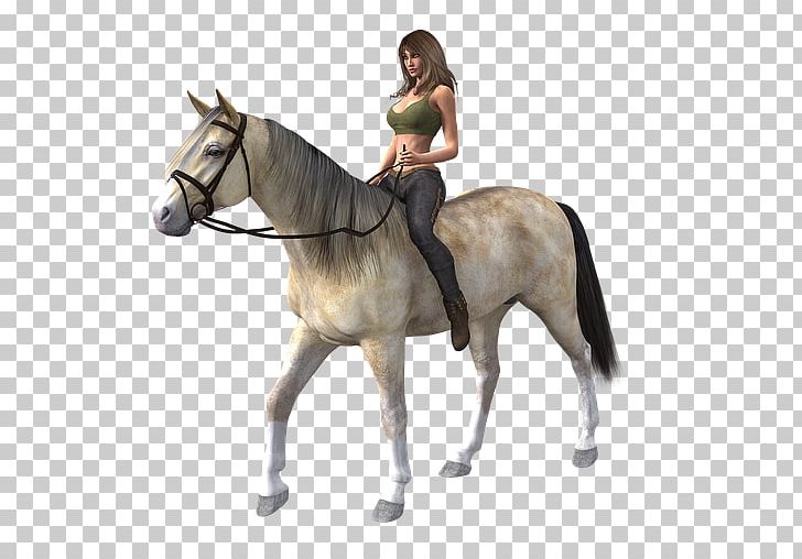 Riding Horse Equestrian Portable Network Graphics PNG, Clipart, Animals, Bridle, English Riding, Equestrian, Equestrianism Free PNG Download