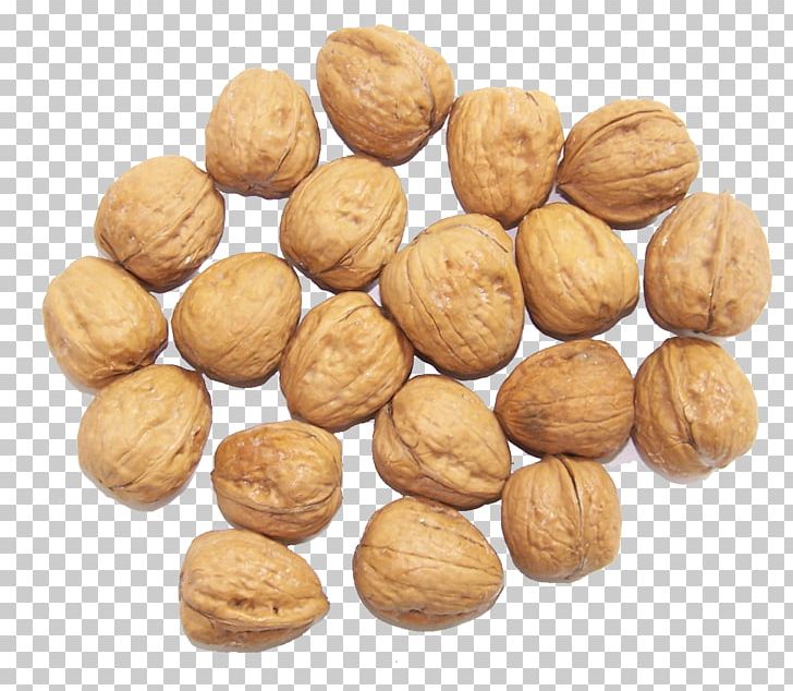 Walnut Dried Fruit Nuts PNG, Clipart, Agy, Auglis, Bunao, Designer, Dried Free PNG Download