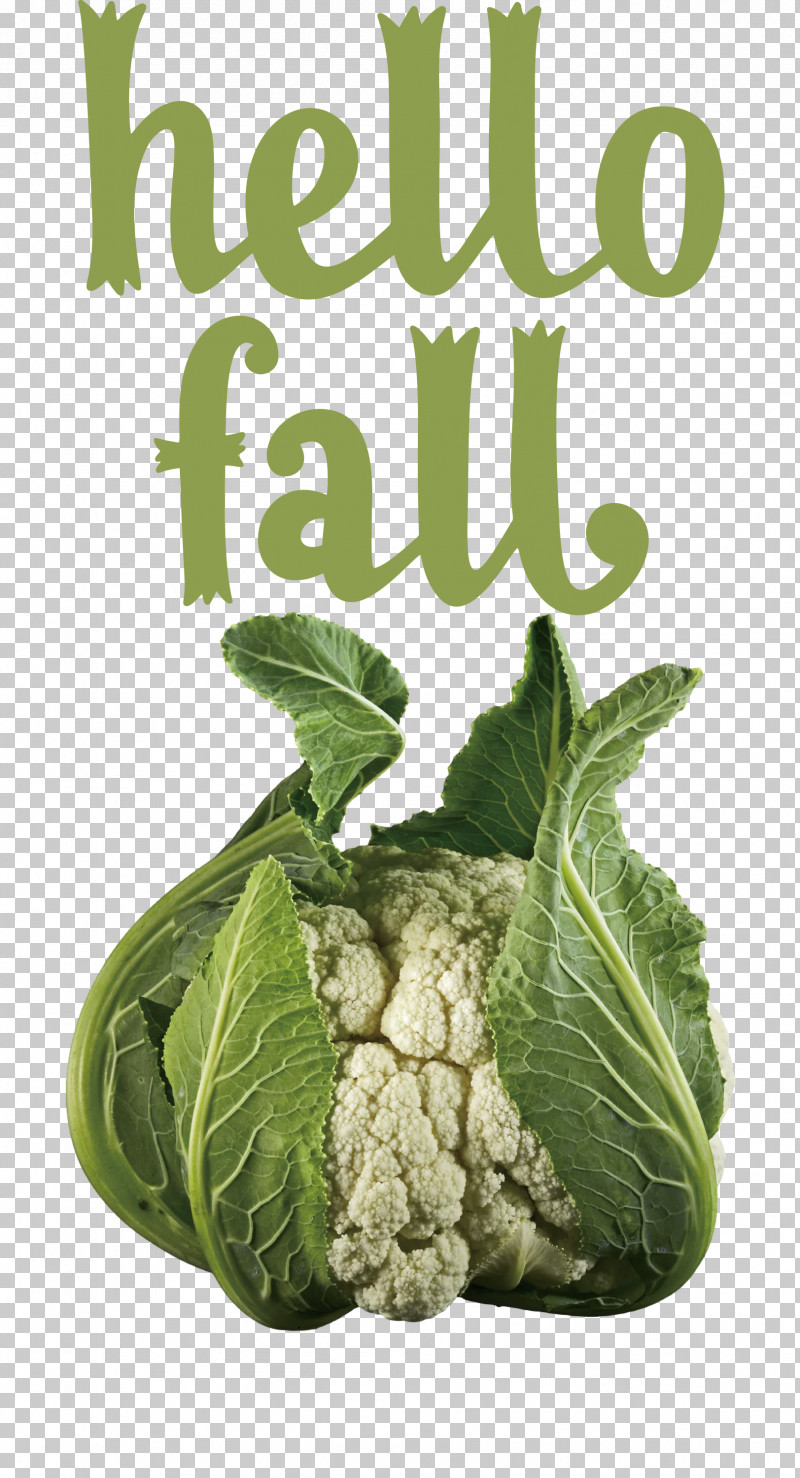 Hello Fall Fall Autumn PNG, Clipart, Autumn, Cauliflower, Collard, Fall, Hello Fall Free PNG Download