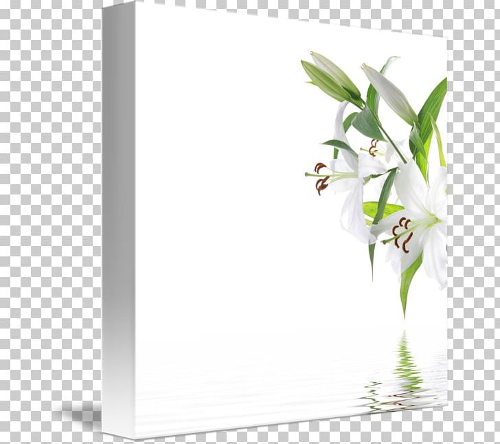 Stock Photography Art PNG, Clipart, Art, Flora, Floral Design, Flower, Flowering Plant Free PNG Download