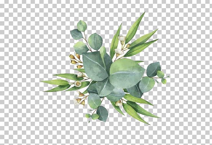 Gum Trees Euclidean Leaf Flower PNG, Clipart, Branch, Cartoon, Decorate, Fall Leaves, Flower Free PNG Download