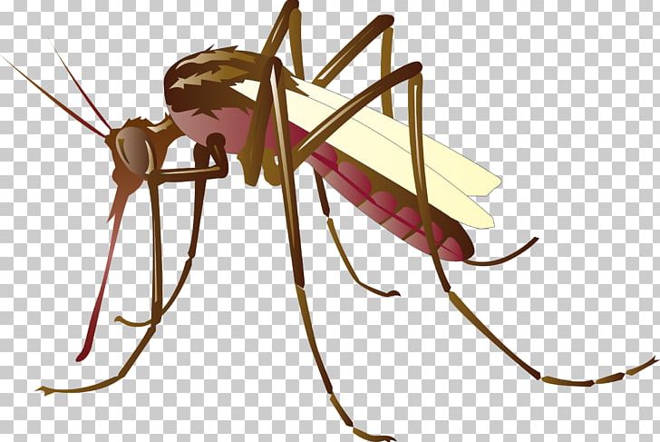 Mosquito Control PNG, Clipart, Arthropod, Cartoon, Drawing, Encapsulated Postscript, Fly Free PNG Download