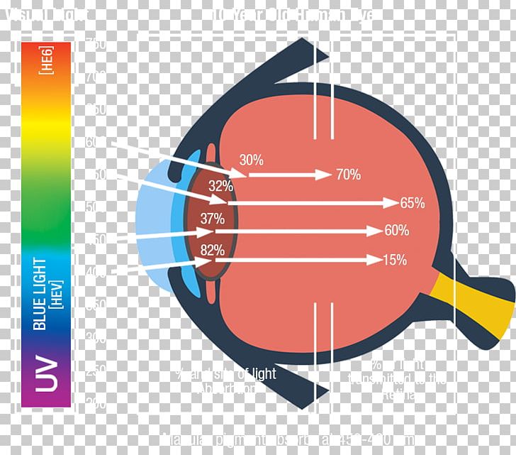 Ping Pong Paddles & Sets Graphic Design PNG, Clipart, Brand, Circle, Diagram, Graphic Design, Line Free PNG Download