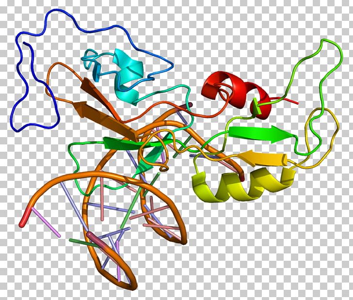 GCM1 DNA-binding Protein Genetic Code PNG, Clipart, Area, Art, Artwork, Dna, Dnabinding Domain Free PNG Download