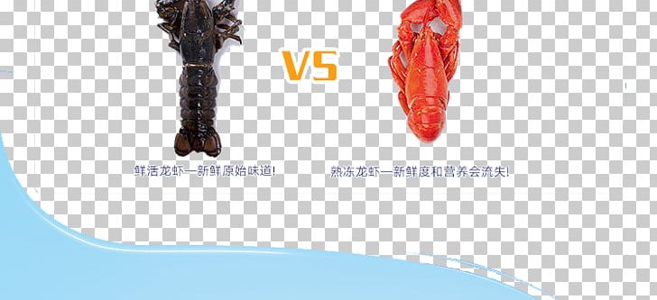 Homarus Seafood Lagosta Red Lobster PNG, Clipart, Action Figure, Animals, Brand, Chart, Comparison Free PNG Download