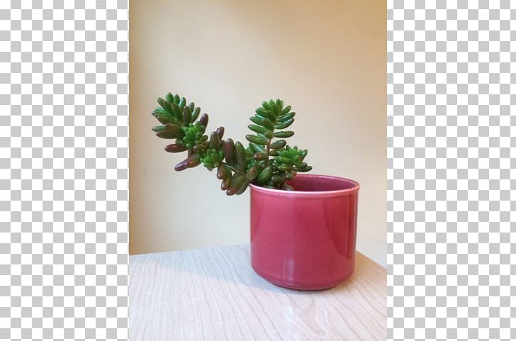 Houseplant Flowerpot Ceramic Citroën Cactus M PNG, Clipart, Art, Cactus, Ceramic, Flowerpot, Houseplant Free PNG Download