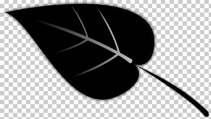 Leaf Silhouette PNG, Clipart, Black, Black And White, Drawing, Leaf, Leaf Silhouette Cliparts Free PNG Download