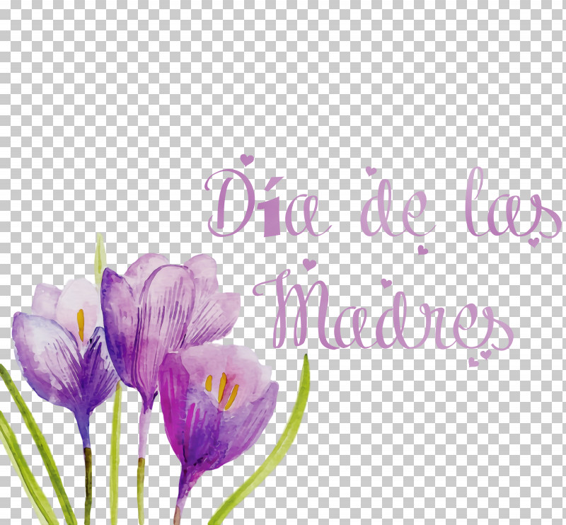 Lavender PNG, Clipart,  Free PNG Download