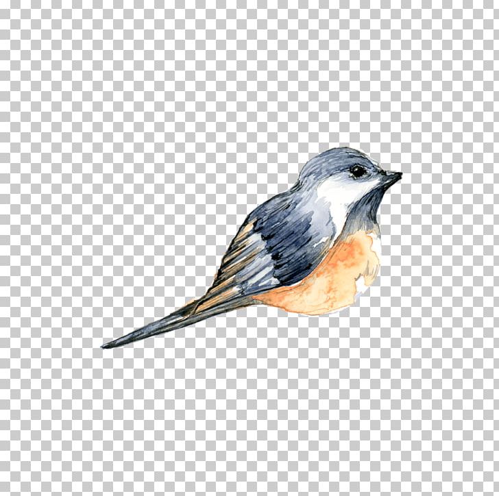Bird Watercolor Painting PNG, Clipart, Animals, Art, Beak, Birds, Chickadee Free PNG Download