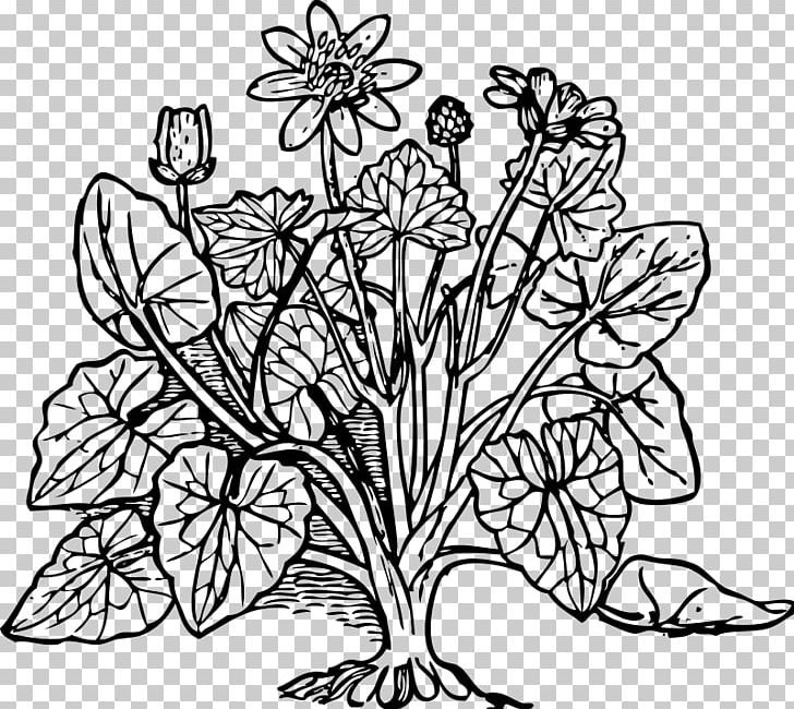 Coloring Book Plant Cell Tree PNG, Clipart, Adult, Art, Black And White, Branch, Carnivorous Plant Free PNG Download