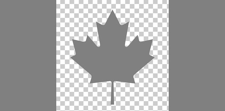 Flag Of Canada Maple Leaf Canadian Red Ensign PNG, Clipart, Canada, Canada Day, Canadian Red Ensign, Computer Wallpaper, Flag Free PNG Download