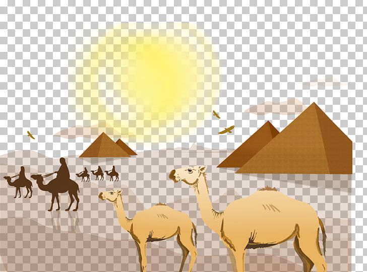 Sahara Desert PNG, Clipart, Animal, Arabian Camel, Arizona Desert, Cactaceae, Came Free PNG Download