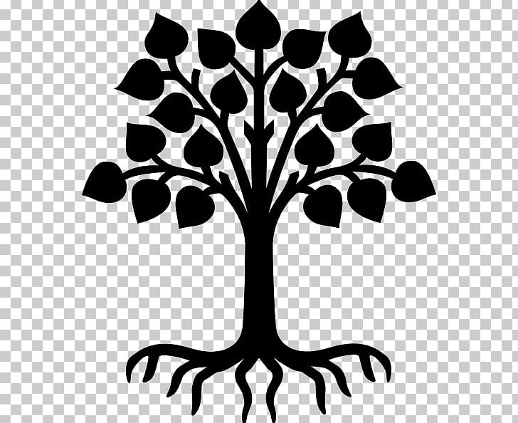 Tree Root Drawing PNG, Clipart, Artwork, Black And White, Branch, Coloring Book, Drawing Free PNG Download