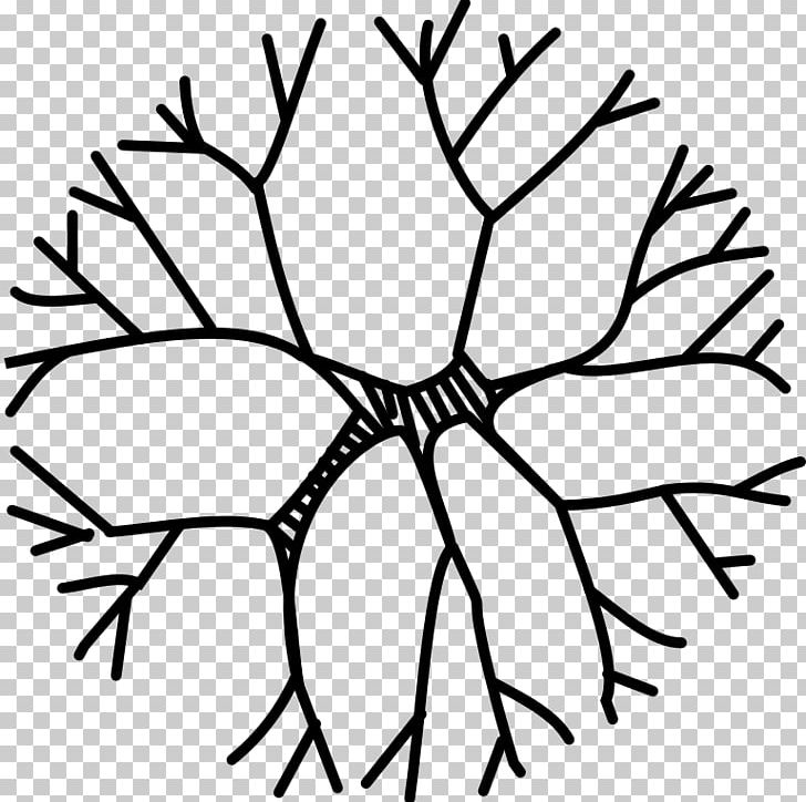 Twig Ornamental Plant Plant Stem PNG, Clipart, Black, Black And White, Branch, Circle, Evergreen Free PNG Download