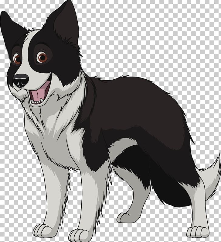 Border Collie Poppys Paws Rough Collie Breed PNG, Clipart, Border, Carnivoran, Collie, Company, Dog Free PNG Download
