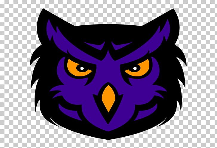 Owl Logo Sport PNG, Clipart, American Football, Animal, Animals, Beak, Bird Free PNG Download