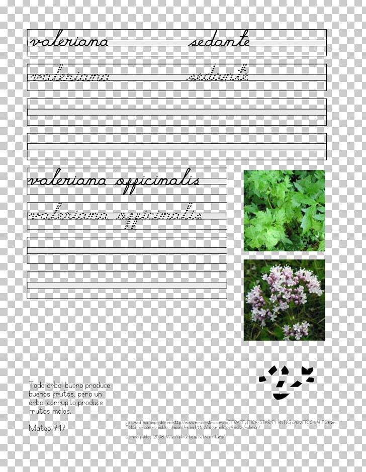 Document Line Valerian Brand PNG, Clipart, Area, Art, Brand, Diagram, Document Free PNG Download
