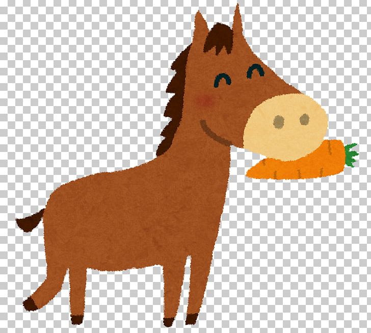 Falabella Orfevre American Miniature Horse Horse Racing Cheval De Course PNG, Clipart, American Miniature Horse, Animal Figure, Buena Vista, Carnivoran, Cheval De Course Free PNG Download