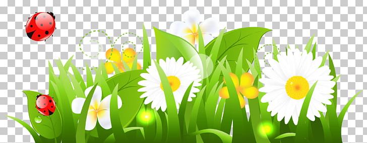 Flower PNG, Clipart, Art White, Blog, Clipart, Clip Art, Computer Wallpaper Free PNG Download