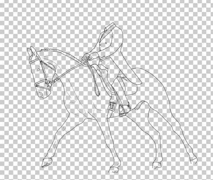 Mule Dutch Warmblood Bridle Line Art Sketch PNG, Clipart, Angle, Arm, Black And White, Coloring Book, Coloring Pages Free PNG Download