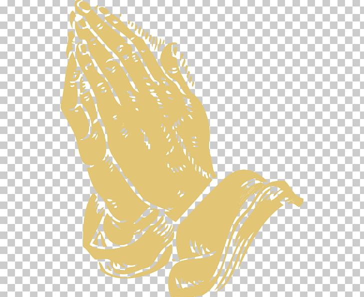 Praying Hands Prayer PNG, Clipart, Area, Art, Beak, Bird, Hand Free PNG Download