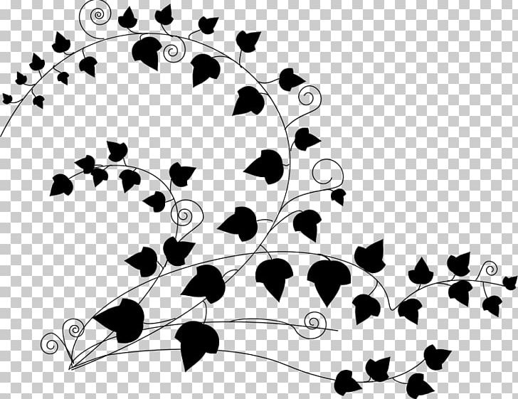 Vine PNG, Clipart, Black, Black And White, Branch, Circle, Common Ivy Free PNG Download