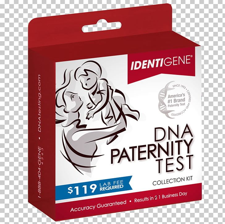 DNA Paternity Testing Genealogical DNA Test Genetic Testing Paternity Law PNG, Clipart, 23andme, Ancestrycom Inc, Brand, Buccal Swab, Child Free PNG Download
