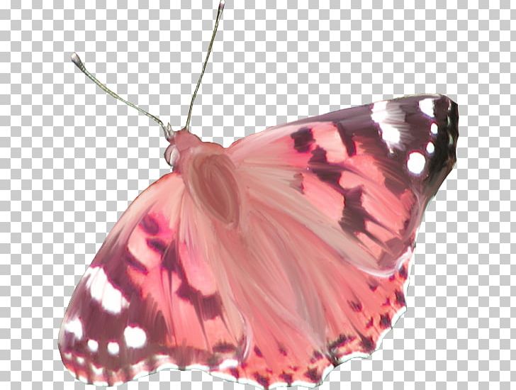 Monarch Butterfly Light PNG, Clipart, Arthropod, Brush Footed Butterfly, Butterflies And Moths, Butterfly, Color Free PNG Download