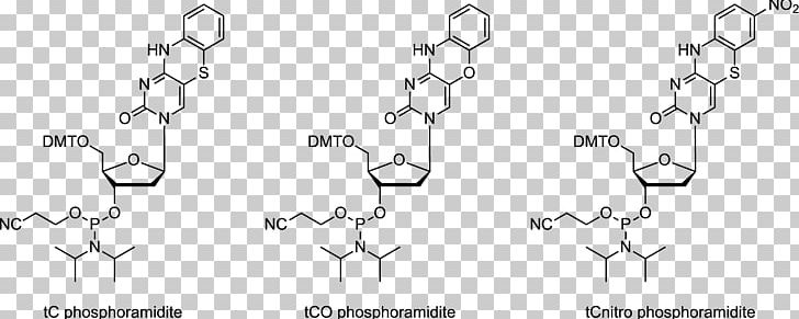 Phosphoramidite Adenine Oligonucleotide Synthesis Guanine PNG, Clipart, 4aminopyridine, Adenine, Angle, Auto Part, Black And White Free PNG Download