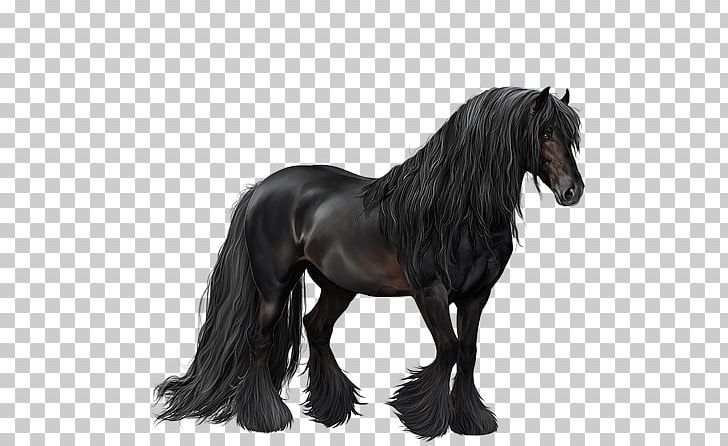Mane Mustang Stallion Mare Pony PNG, Clipart, Black And White, Halter, Horse, Horse Like Mammal, Horse Tack Free PNG Download
