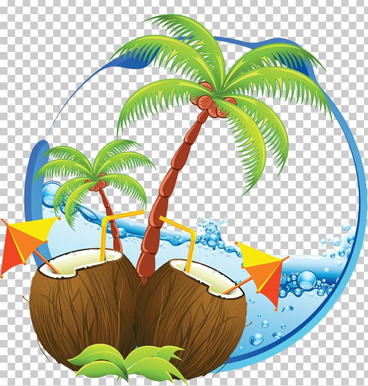 Others Palm Tree Arecaceae PNG, Clipart, Arecaceae, Arecales, Art, Coconut, Colleagues Free PNG Download