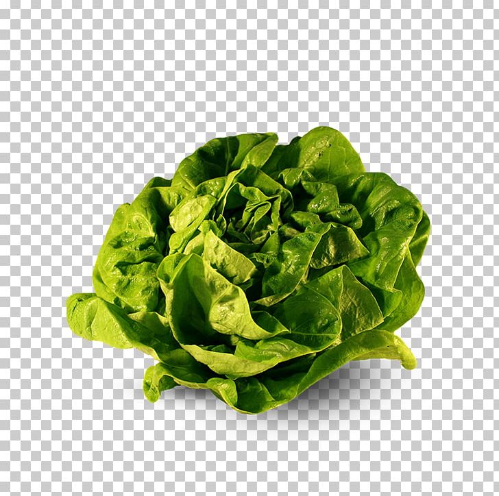 Romaine Lettuce Cruciferous Vegetables Celtuce Collard Greens PNG, Clipart, Body, Celtuce, Chard, Collard Greens, Cruciferous Vegetables Free PNG Download