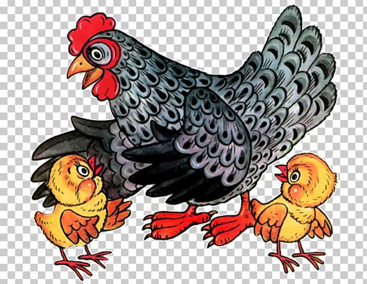 Rooster Chicken Hen And Chicks PNG, Clipart, Animals, Beak, Bird, Cartoon, Chick Free PNG Download