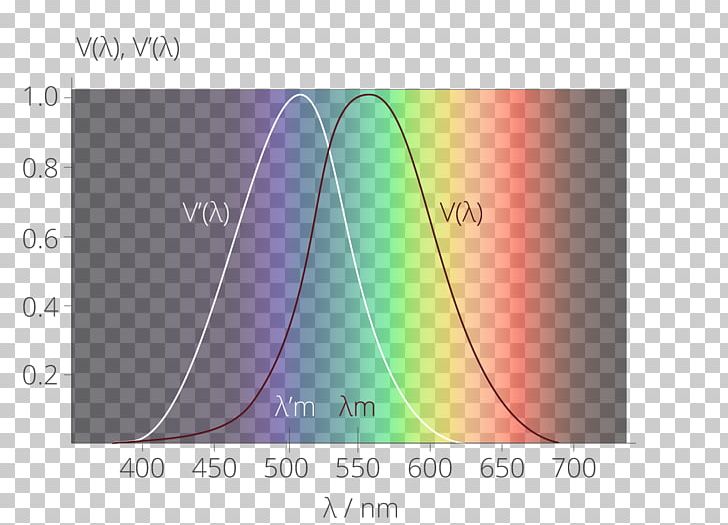 Light Spectral Sensitivity Scotopic Vision Luminosity Function Photopic Vision PNG, Clipart, Angle, Annular, Brand, Brightness, Color Free PNG Download