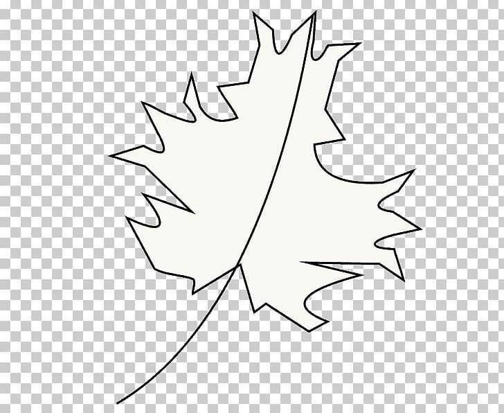 Maple Leaf Twig White PNG, Clipart, Angle, Area, Artwork, Black And White, Branch Free PNG Download